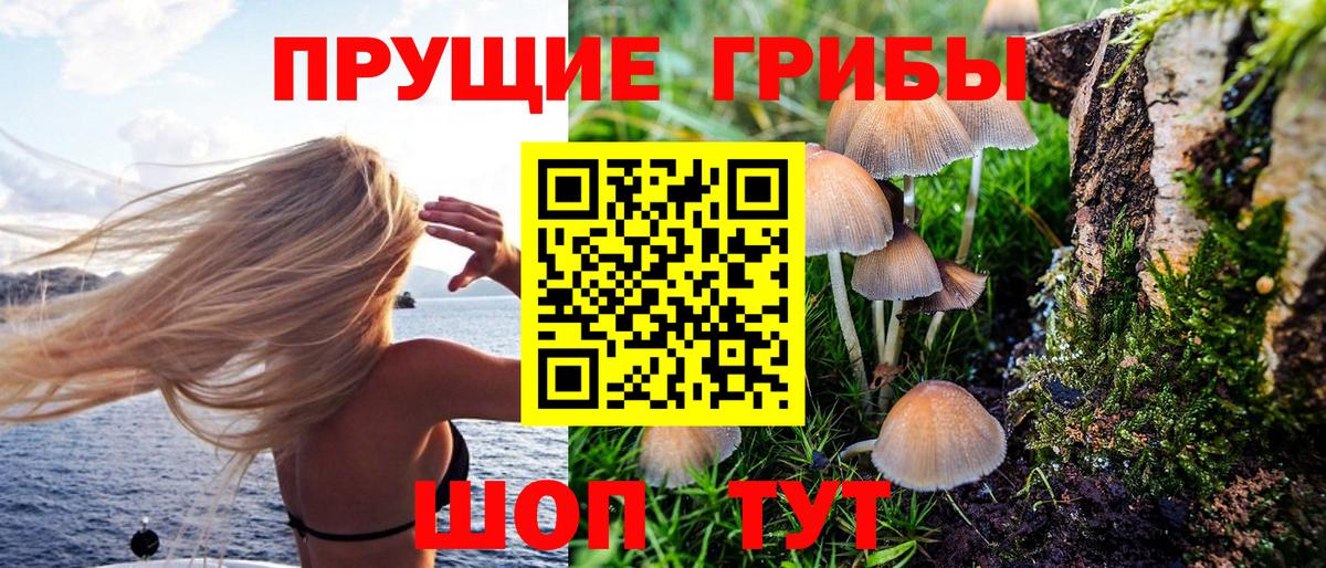 Галлюциногенные грибы мицелий Волгоград