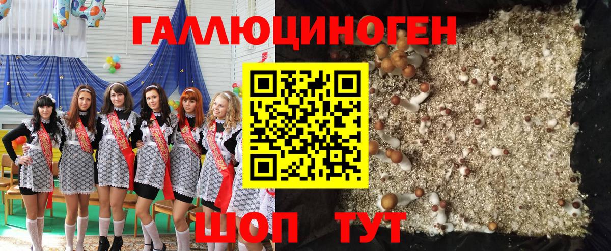 Галлюциногенные грибы прущие грибы  Вход с VPN  Волгоград 